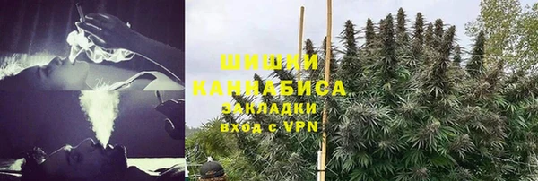 твердый Богданович